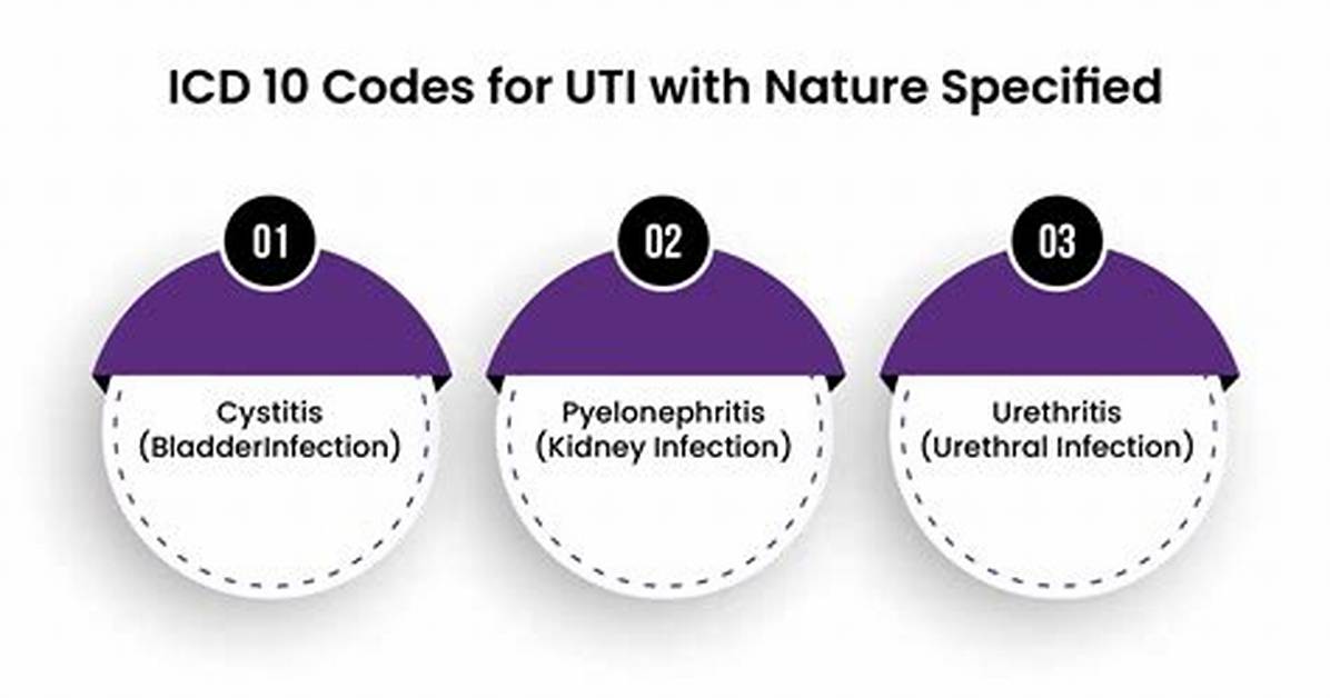 Icd 10 Code for Uti