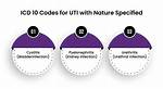 Icd 10 Code for Uti