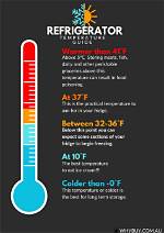 Ideal Freezer Temperature