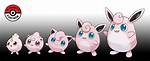 Igglybuff Evolution