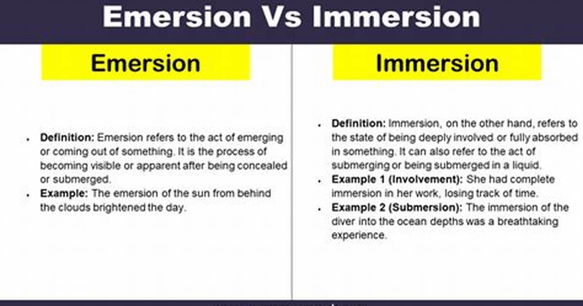 Immersion Synonym