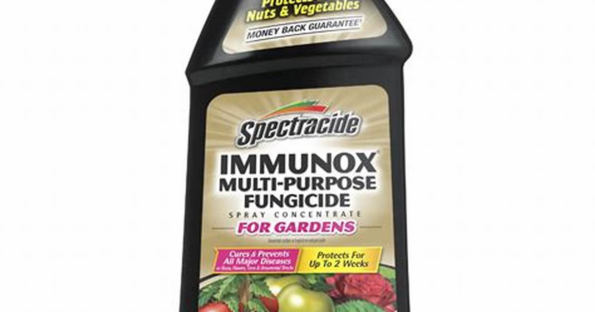 Immunox