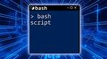 In a Bash Script, How Can I Exit the Entire Script If a Certain Condition Occurs?