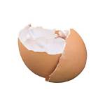In a Egg Shell?