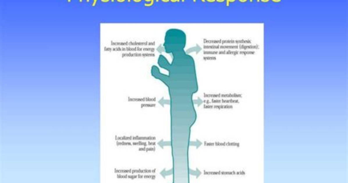 In a Physiological Response?