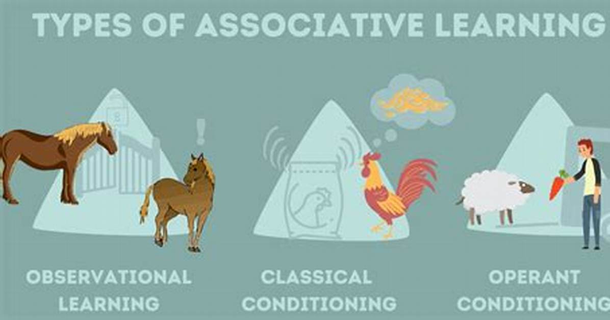 In Associative Learning Animals?
