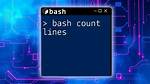 In Bash, How Do I Count the Number of Lines in a Variable?