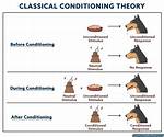 In Classical Conditioning Learning Is Evident When a?