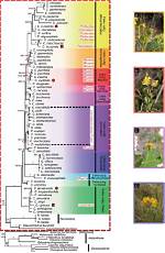 In Classification Circumscription Involves?