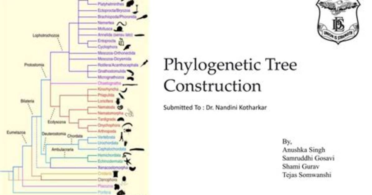 In Constructing Phylogenetic Trees?