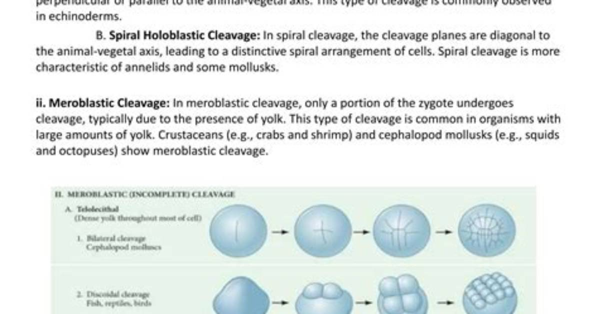 In Echinoderms Cleavage Is?
