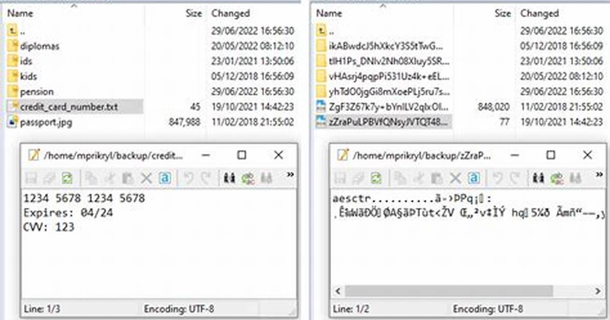 In Encrypted File System?
