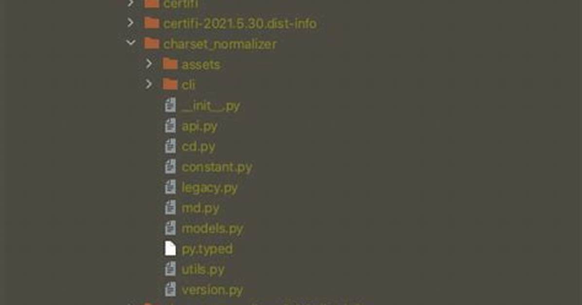 In Graalpython What Is Difference Between `Ginstall` and `Pip`?