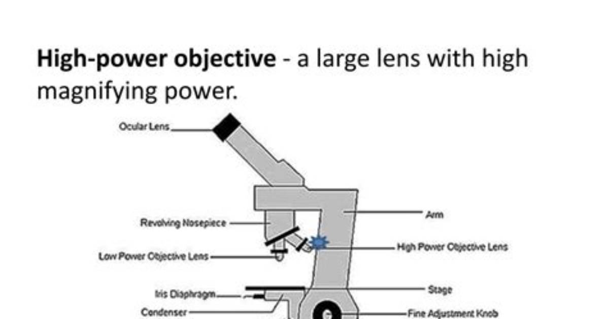 In High Power Objective?