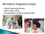 In Persistent Vegetative State Meaning?