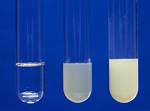 In Silver Nitrate Test?