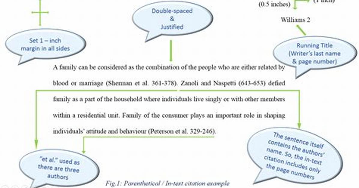 In Text Citation Example?