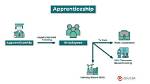 In the Apprentice Definition?
