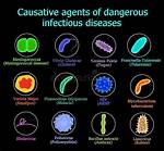 In the Causative Agents?