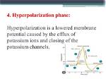 In the Hyperpolarization Phase?
