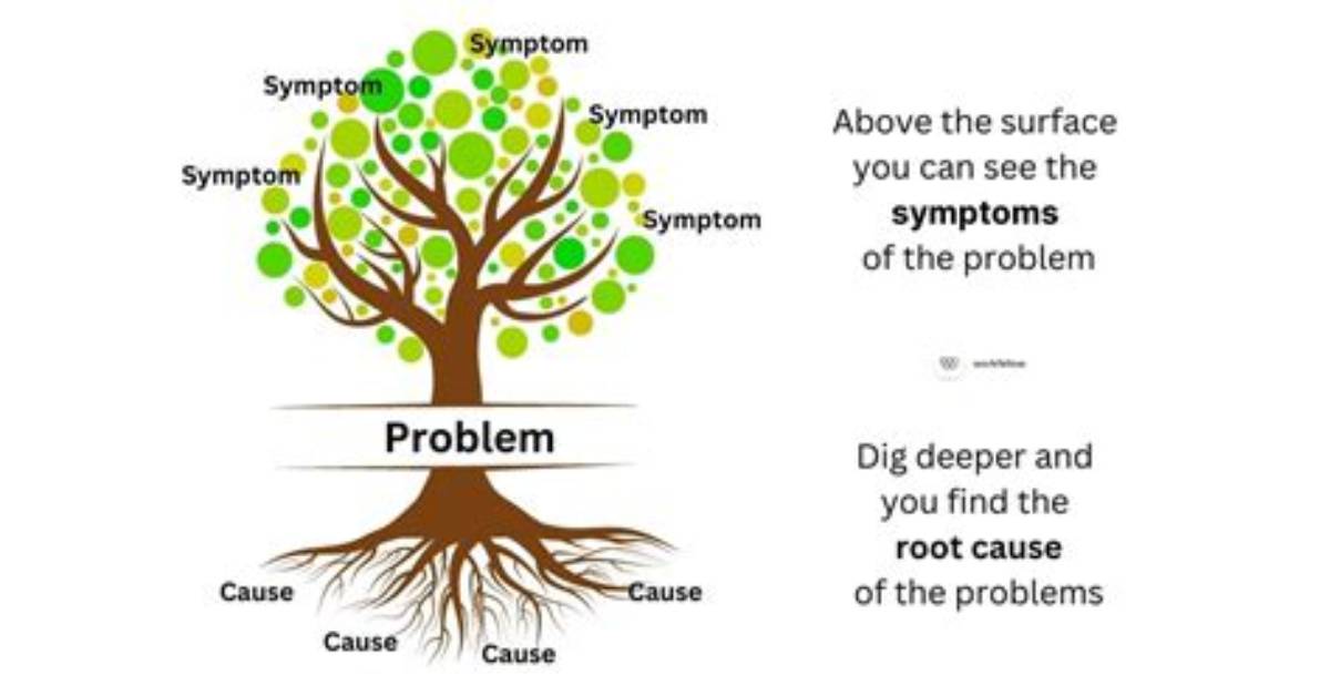 In the Root Cause?