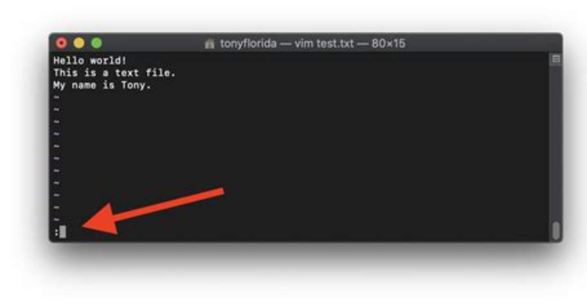 In Vim Command Line?