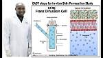 In Vitro Permeation Study?