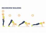 Inch Worms Exercise