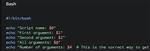 Include Bash Script Arguments When Submitting via Bsub