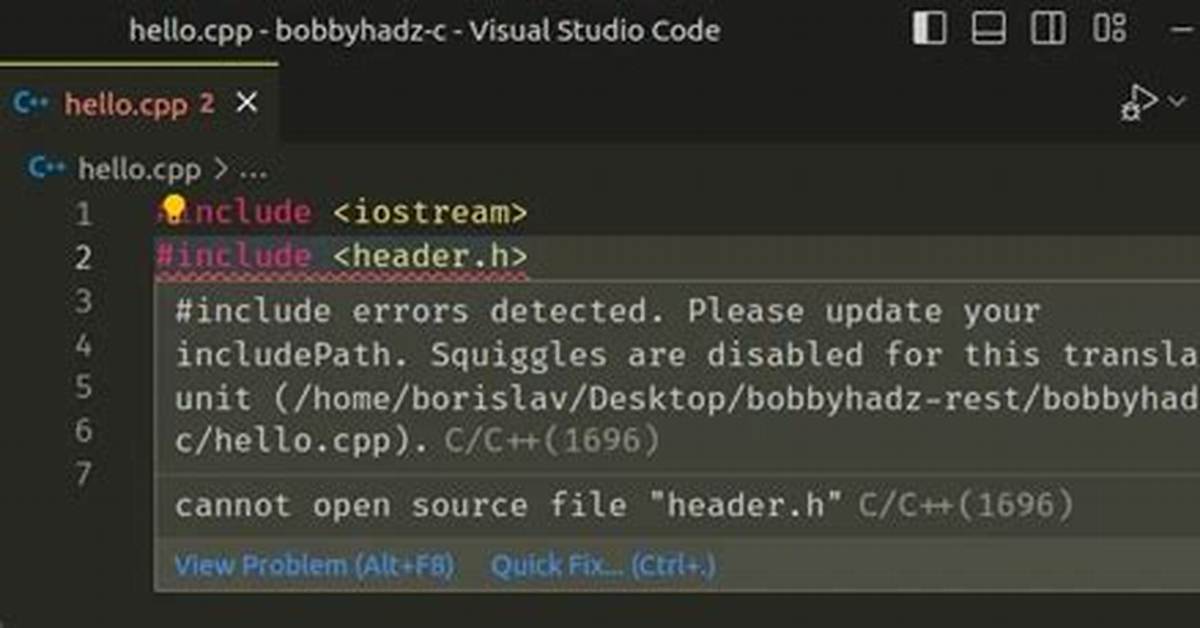 #Include Errors Detected in Vscode
