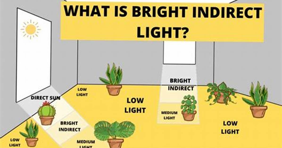 Indirect Sunlight
