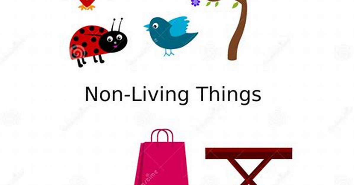 Individual Things