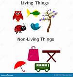 Individual Things