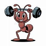 Industrious Weightlifting Insect