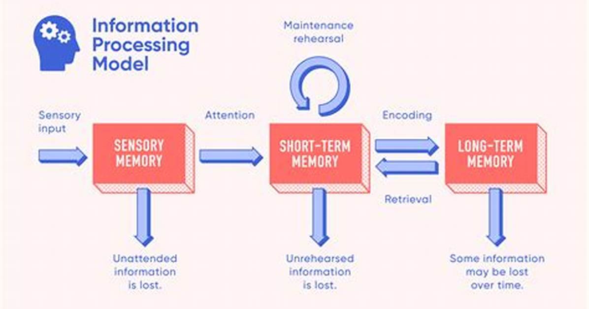 Information Processing Theory