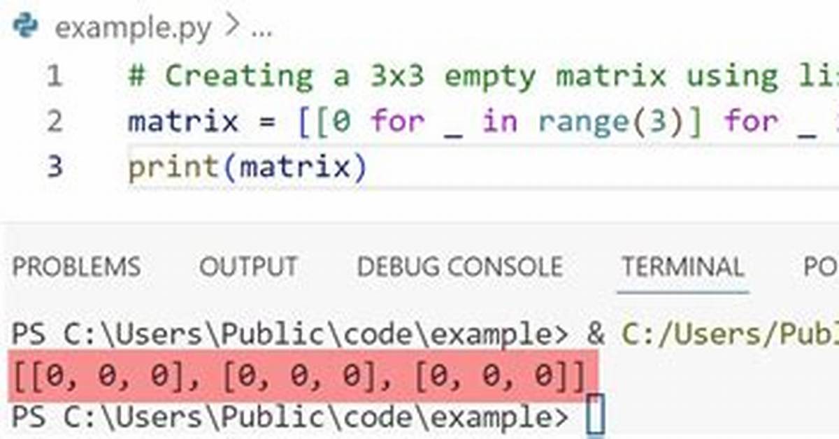 Initialize Empty Matrix in Python