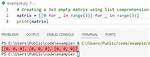 Initialize Empty Matrix in Python