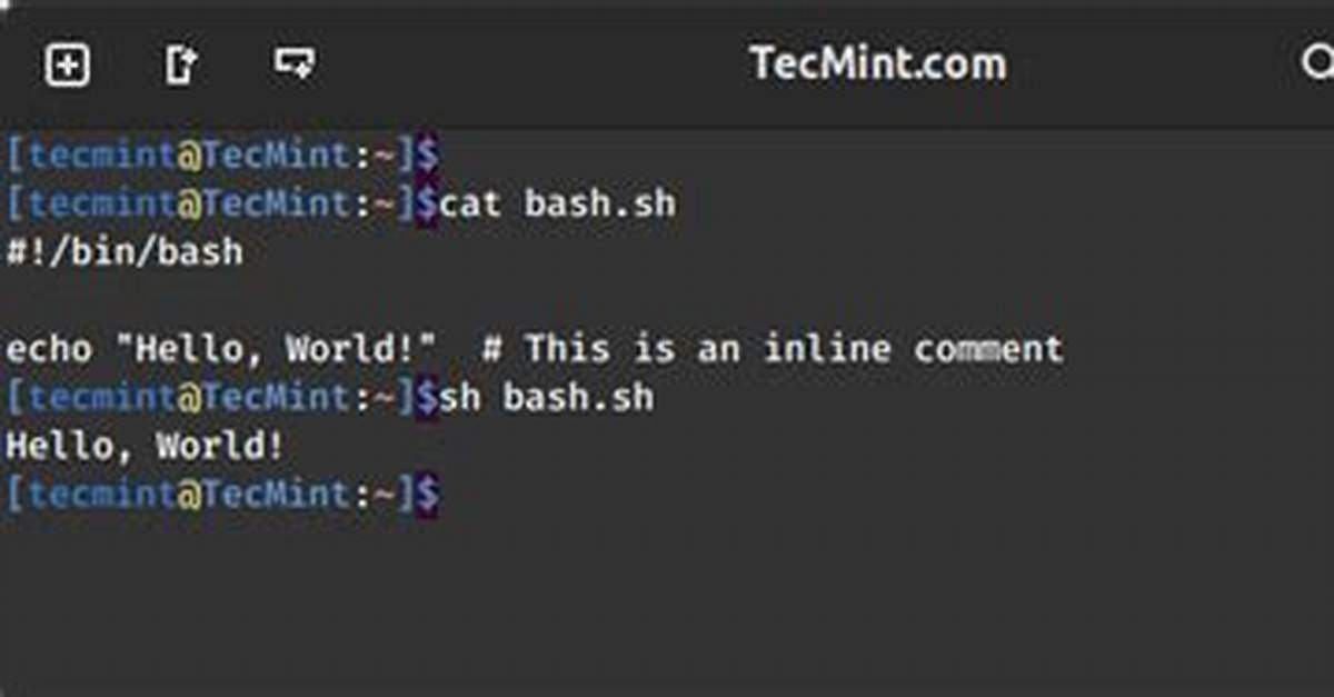 Inline Comments for Bash?