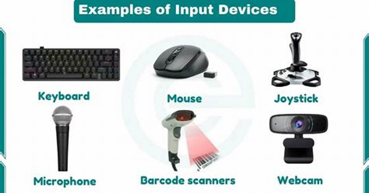 Input Devices Examples