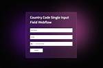 Input Field for Pin Code