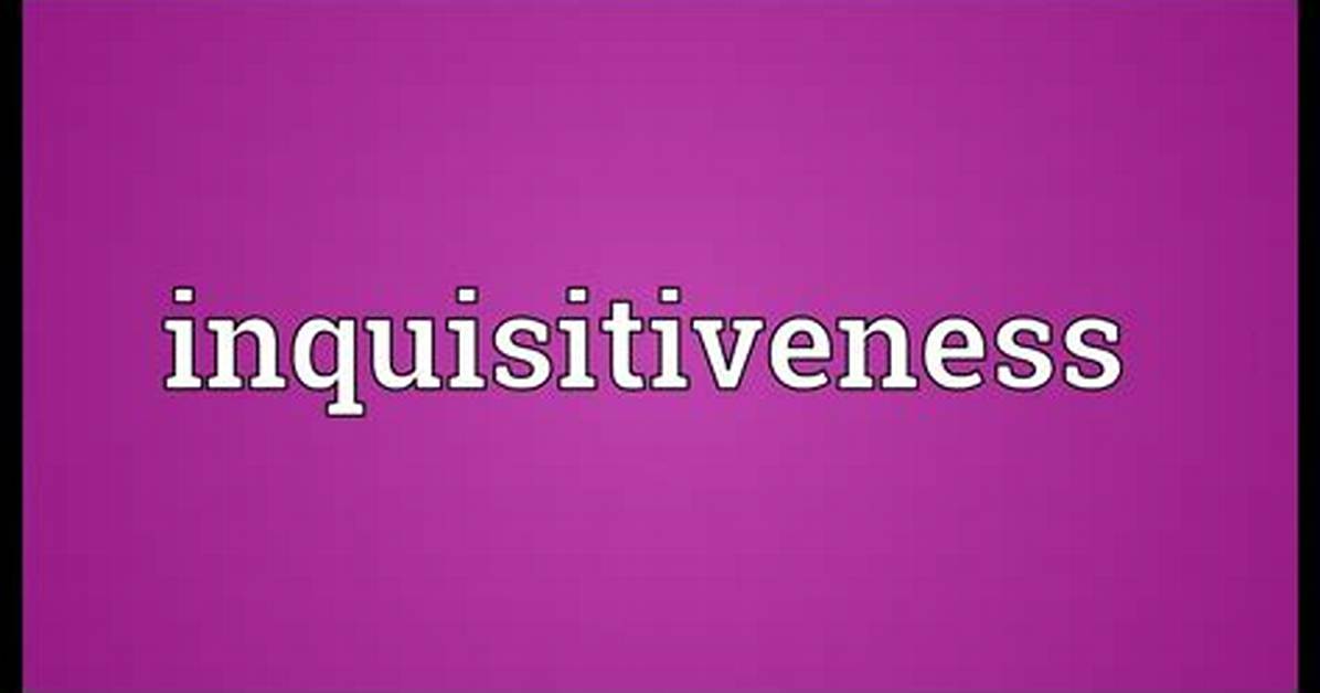 Inquisitiveness Definition