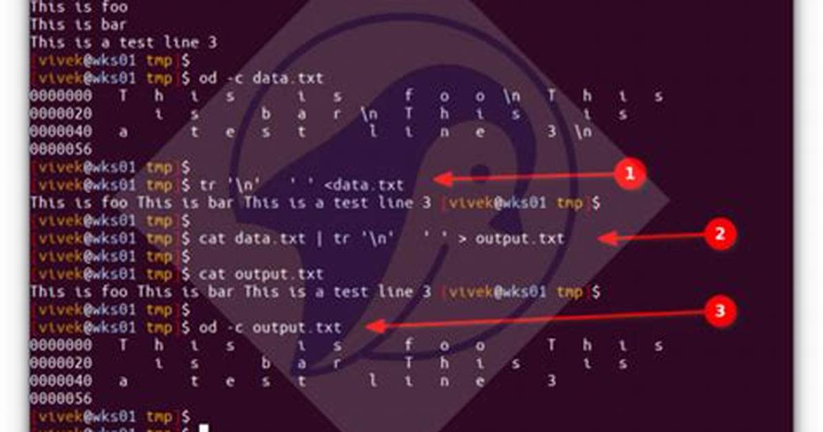 Insert Newline (\N) Using Sed
