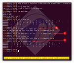 Insert Newline (\N) Using Sed
