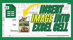 Insert Picture into Excel Cell [Closed]