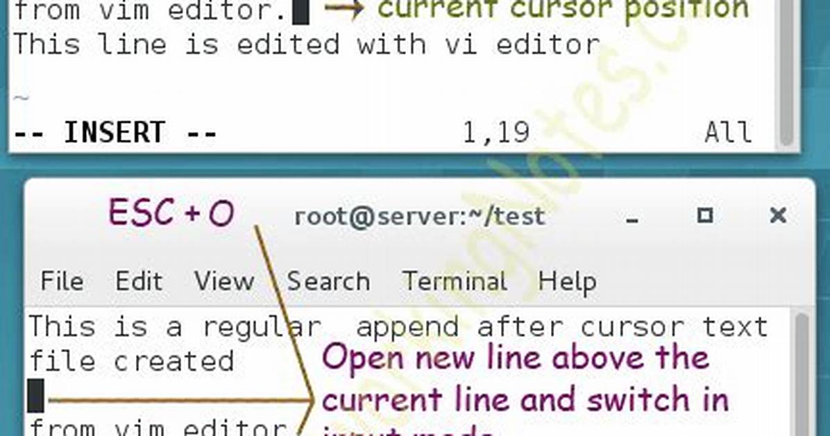 Inserting a Blank Line in Vim?
