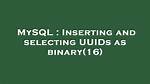 Inserting and Selecting Uuids as Binary(16)