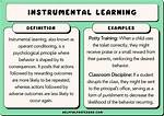 Instrumental Learning