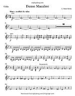 Instruments in Danse Macabre?