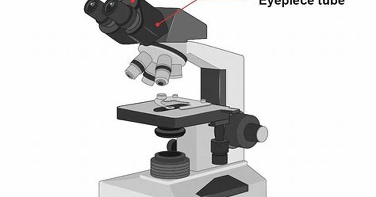 Interpupillary in a Microscope?