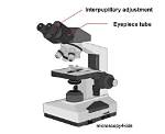 Interpupillary in a Microscope?